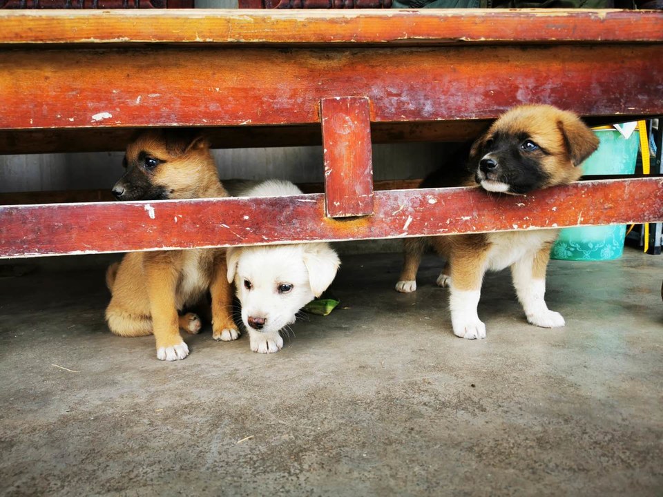 l3pwE7awCV3NKRoMXuTxCe1hOTfaNaVDJFF50J4dyjP7-DJA_fLbz_EmZqTsRHIv