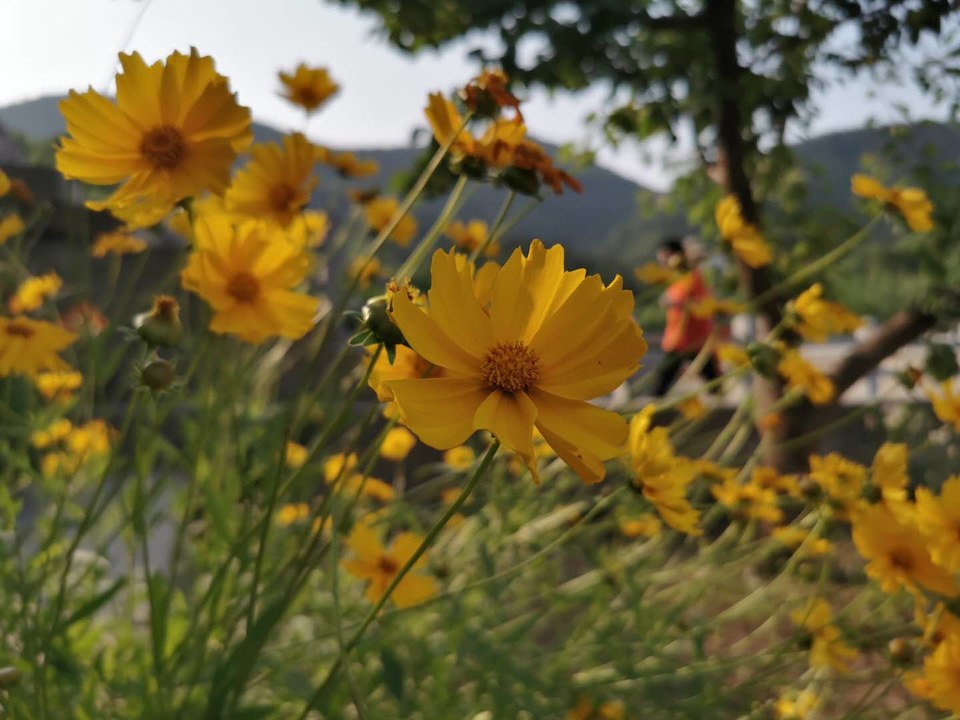 IX2gCPEwic5m_Mpnsc3P19uEzp-fnkjdaD8xvRMptn_Ks8-DHIs4s2wfICiB_lXd