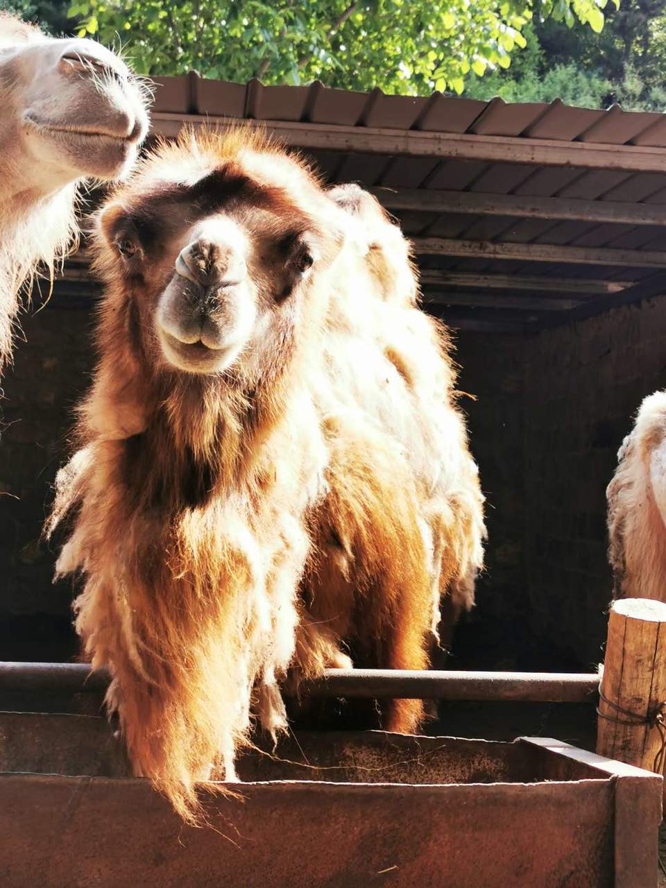 g7AjO5jFS38-4XsWmbOwIvzvBi9O0GHfC6Cjw_1CbluWL_OHj9WUqXEpenW2x6v0