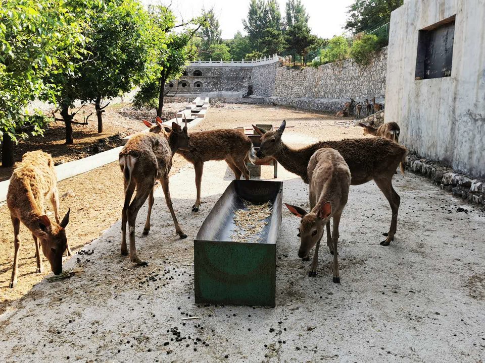 lX-XCy1_Qj_cWHegbrDyN_yo8uT-aoy1EEIIHbQn7Vin5vu_bf8Wq8jWQGvE-Rs0