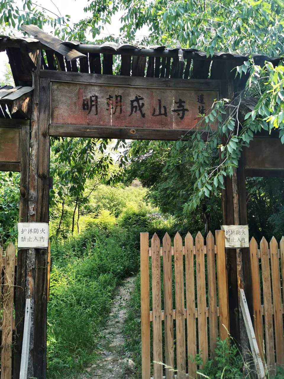 5-Ljsyn53mVk_X0r7shXItTCci9mPbR6EFheH1AqvwY8Sf7WMFNTu2pELeitxS1O