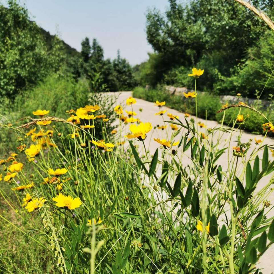 jg_sl6Zjeqc3oh6AlxACKTuDA7xc-hHv3ITnT4v70k7rnW1PqTdKPL5szpAjn5WL