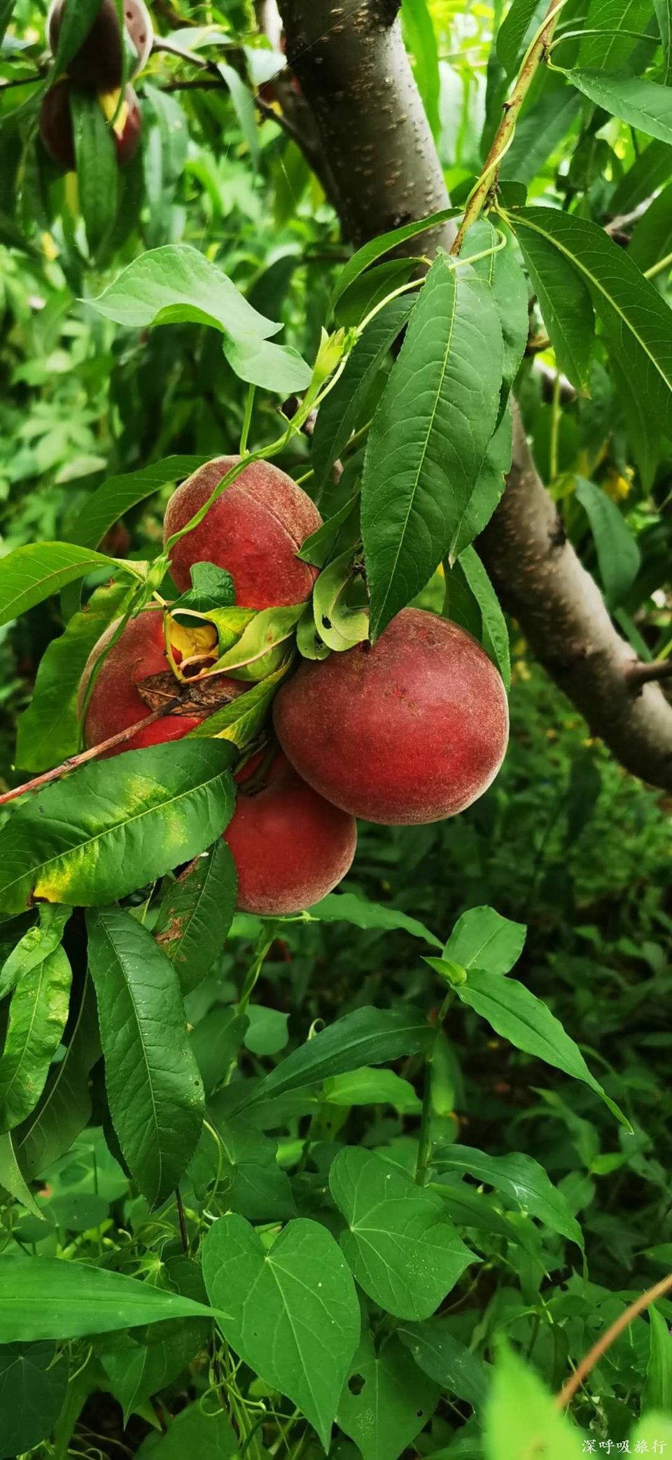 7P6ZOZYzaEyQ2oyclS_Y9hPwroqjeYkar0TEBudTiZKdhxyw8vUpkVJSPyUghEby