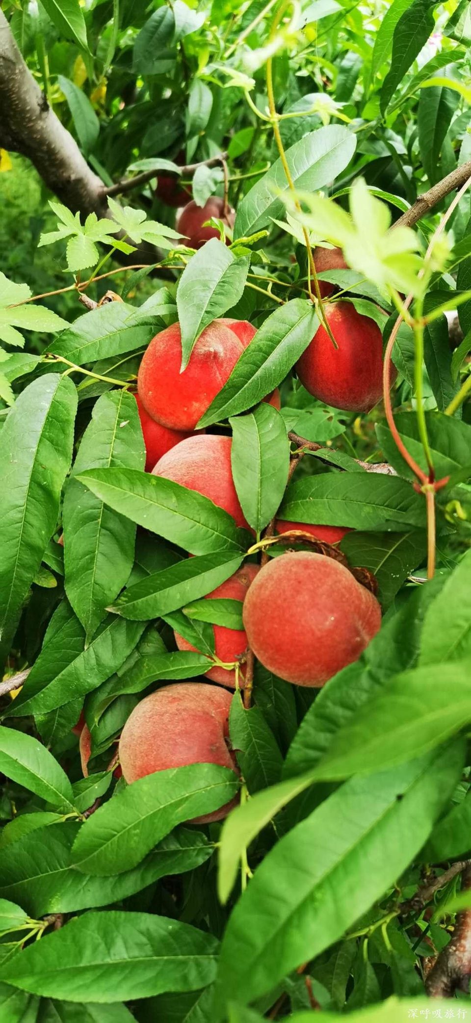 0YECeR58Xf3aWcx3EYaRMl_6DHRUMajs0jhMyXKQmlbKc8ssuqq5UuXctTTnTII0