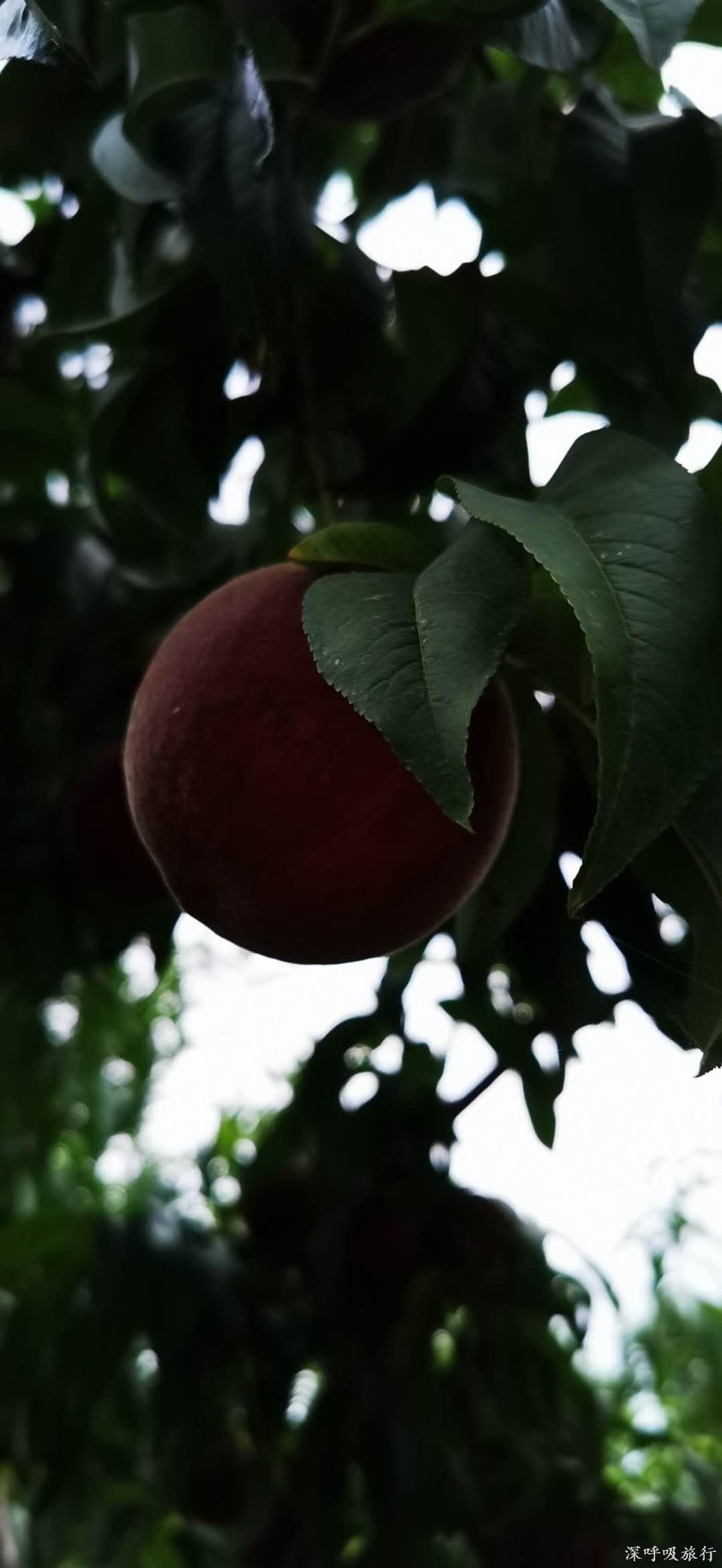 i1hRCZ7gKTga6FFdVGsDHbcr59YyTbIdLRXp0L2BcfiyAE-4Nm01rBLaJEKm8X7w