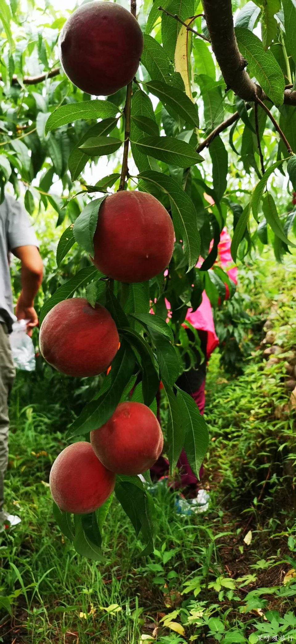 k-1gfVSkvuh4G6kgyb7FvIxfZXaOGOCqomca1AMI20Sdkfog3bogPeIGMgcz8xm-