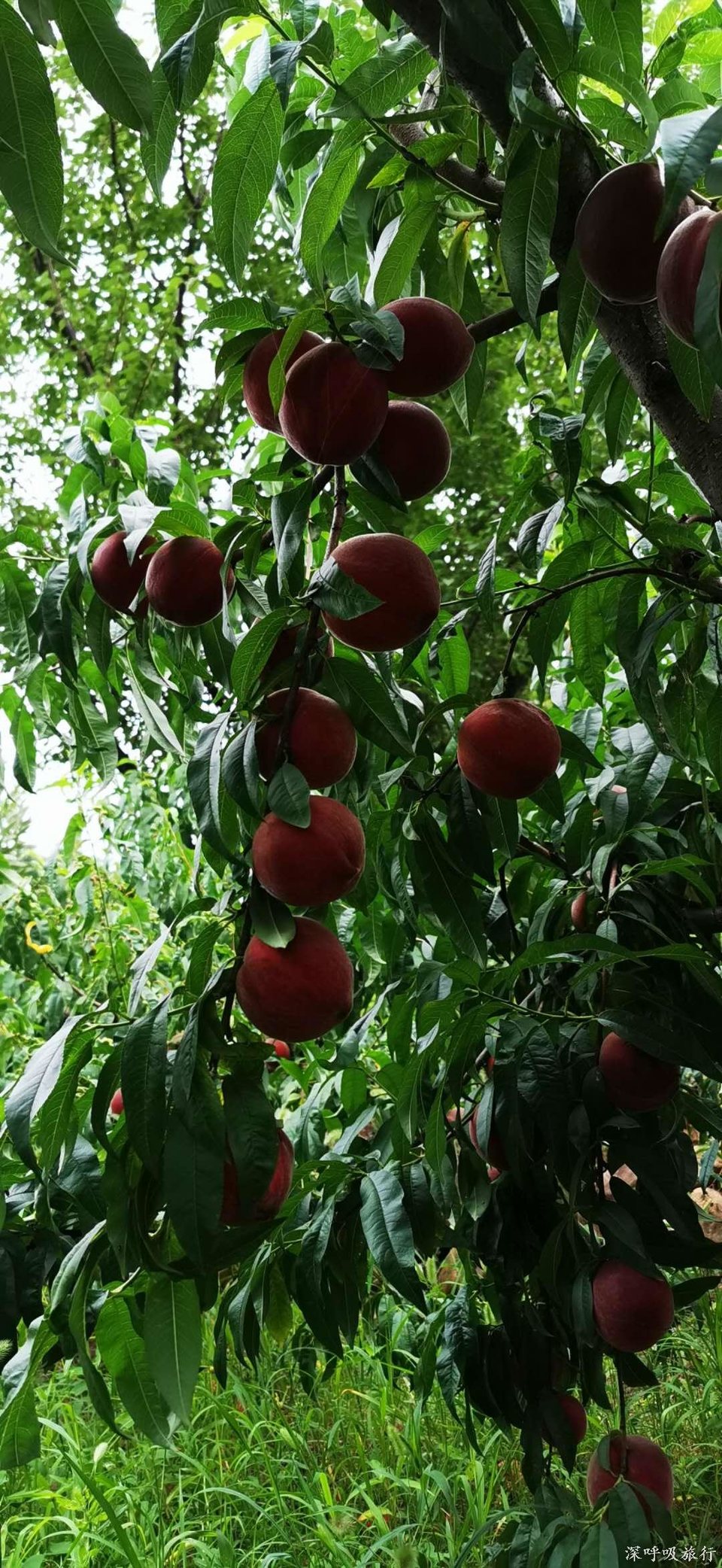 0cVUF_Ac3n5gcFxtRTD1Xle_CDMY53DW6z0jrhnyzldfxyO4EPWN4hat7gf0-tbE