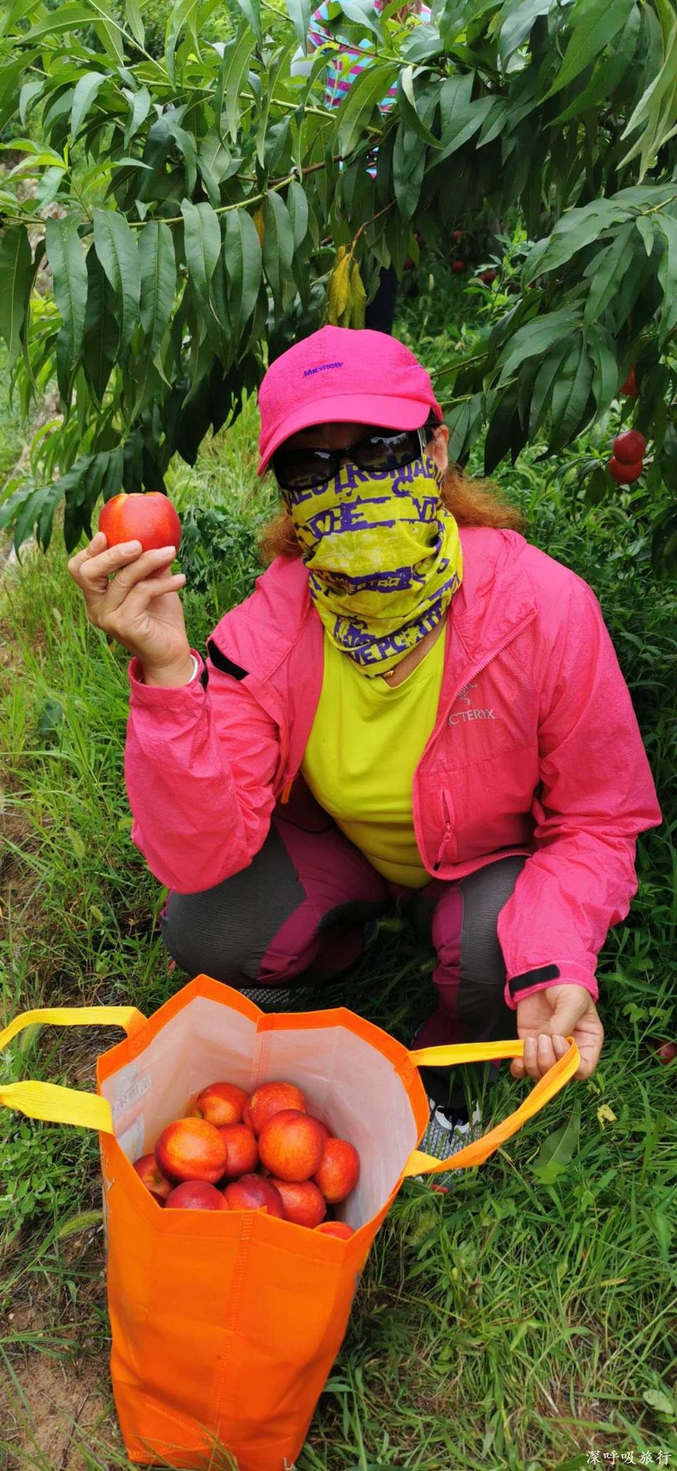 PWLf0ccHCyMM1KnalnaM3Xb4ceP60M9qD4XTop55_M4YM9_e2T-KiTvci547FQgD