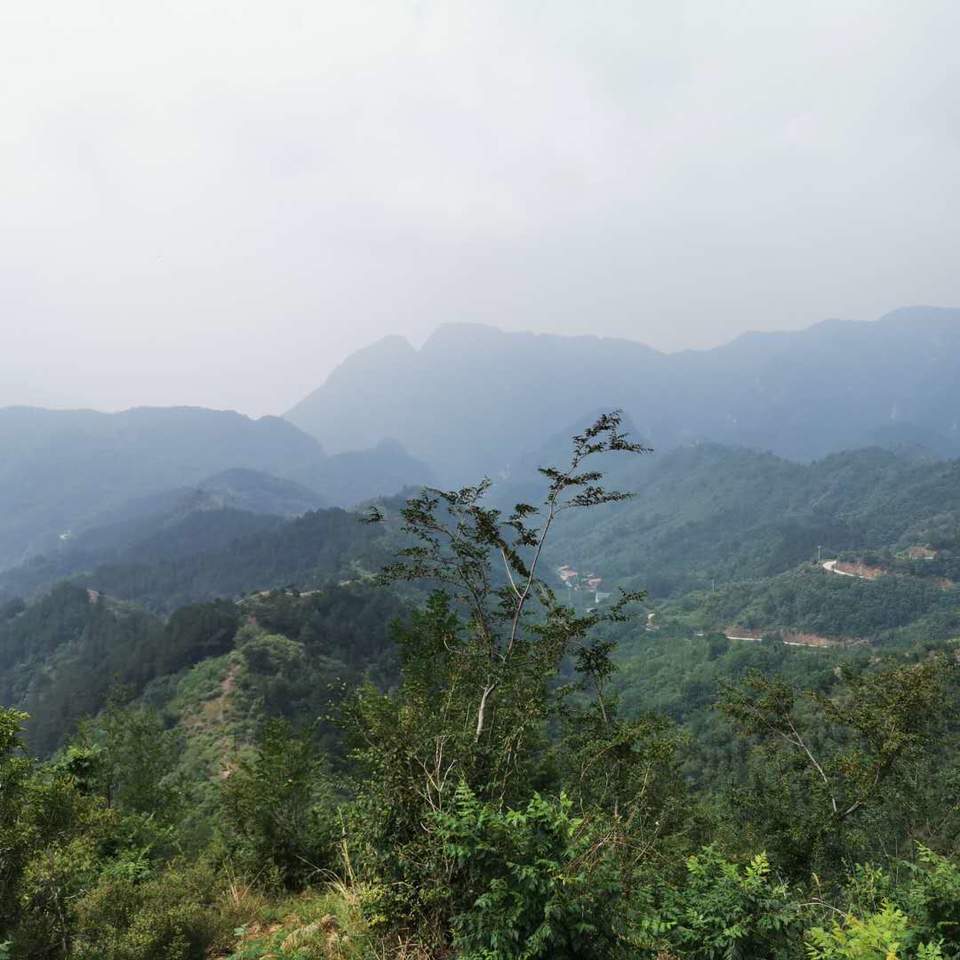 1QbzFjqxcA8R9otsmIRGY0duvJnqb-5viD2fftUzfLpehT1A8ZJr8TlvCm-DI5yc