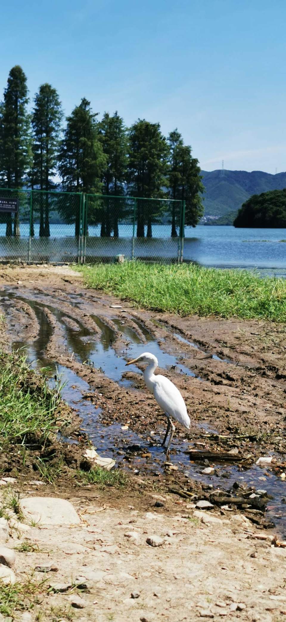 Aba4qFyQg3sPFdJqcqzkuNPz2Gr3M0nymKVRaqtGKZt6A9cqyWKVnBqYWO-rTUs2