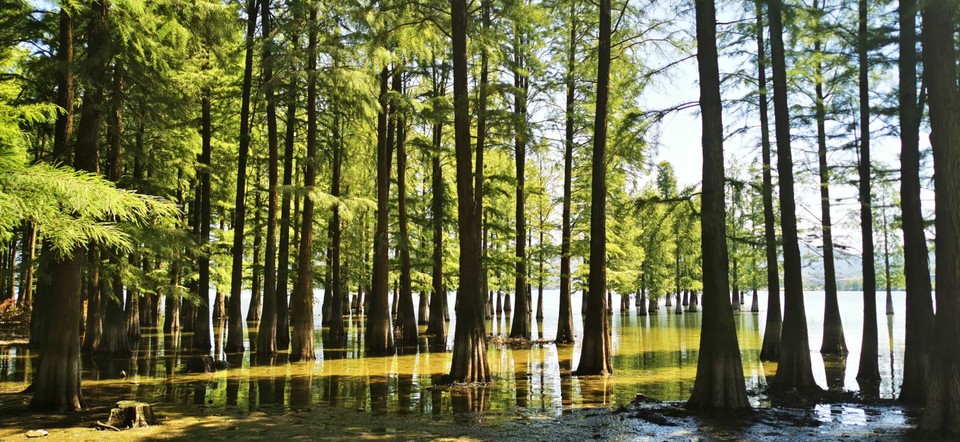 cV7cOF5howo5MiBnXXlVvSUuqRRc2tT4DoF882r7kg2qGM8XXESL8zN0jGnM7mhY