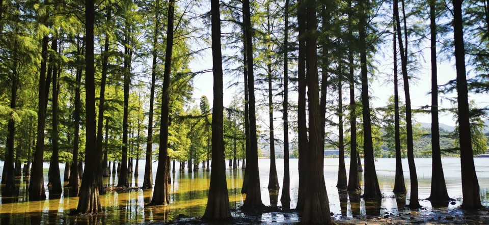 UE-2J2h-lLS5yB71yqHOrImtOs-03fws16AX_-IycaOdY4mgq1jJzxeRnWYqH9HE