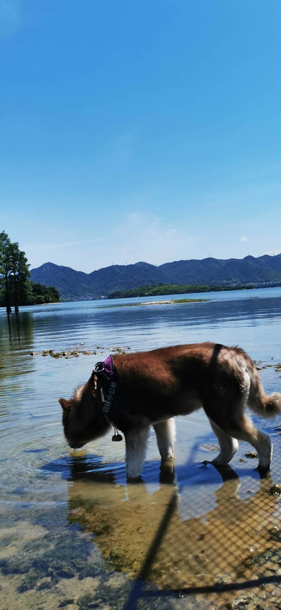 FAs4uubiR1w746Pcd823PA7mVVVvF-6lY_-TQAxFVJJp2wUSE-806_sA9-YoE32H