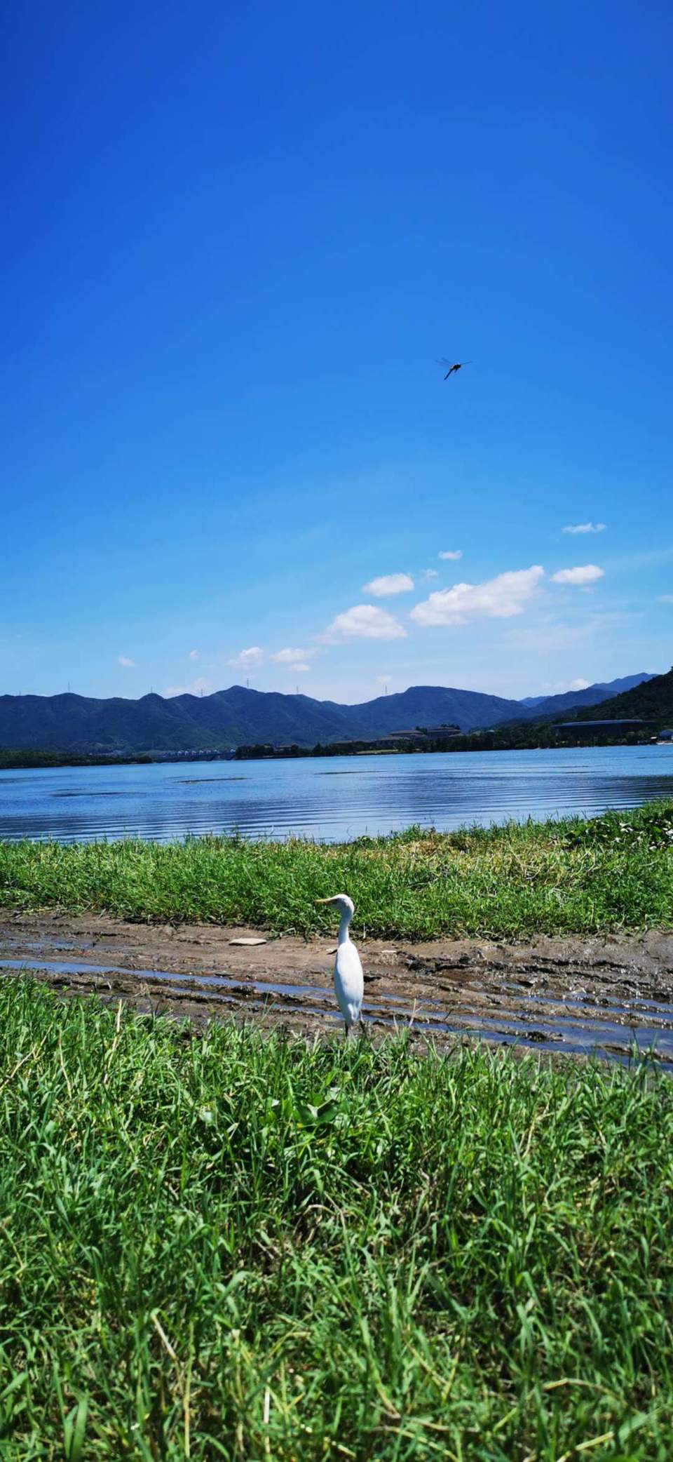 AAfqVVoI0zcVbGI6_xPwqaqLXkOeGPfBLxT0Nm0bmVrz7DIy2cNYLQcSMqiirxa1