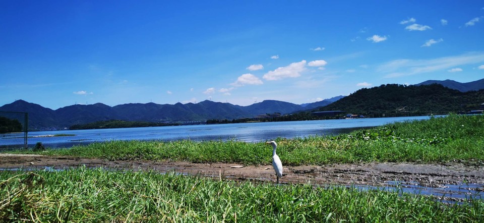 AqNzVnORvR5HolkgwlI2EjTQVBwpl74YFtpDDqixrpguhYO_9TKY9mCquEFcs7Kq