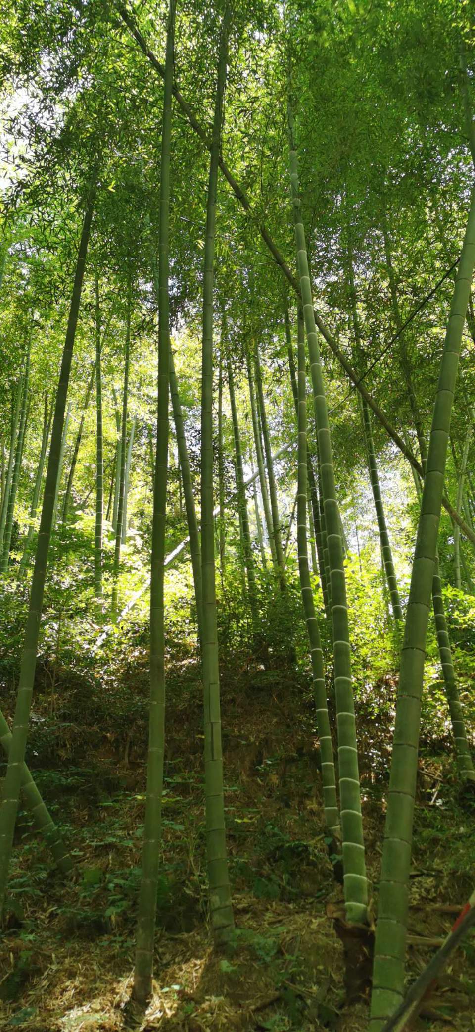 wxYBv_w7DvXucqnXLTh8hs2ok7uq9S2WUSDLMMCfWxes1esTBueyL1JCQGyNbhxv