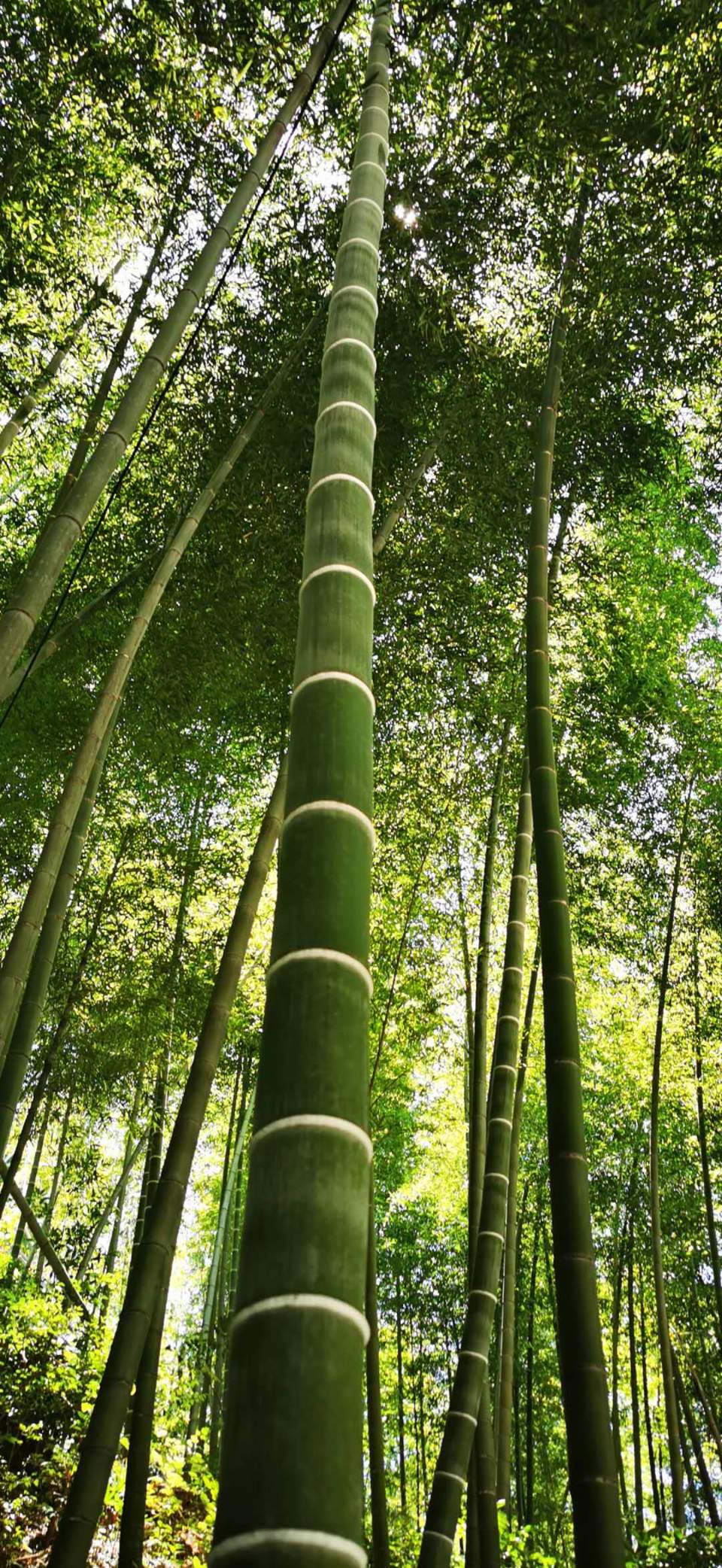 JkJiGhGKNR1rtzK8UFpgOwesl8HZP_36eeq8CjanNHkZUP7hdvFer9QuNSVKd_Xc