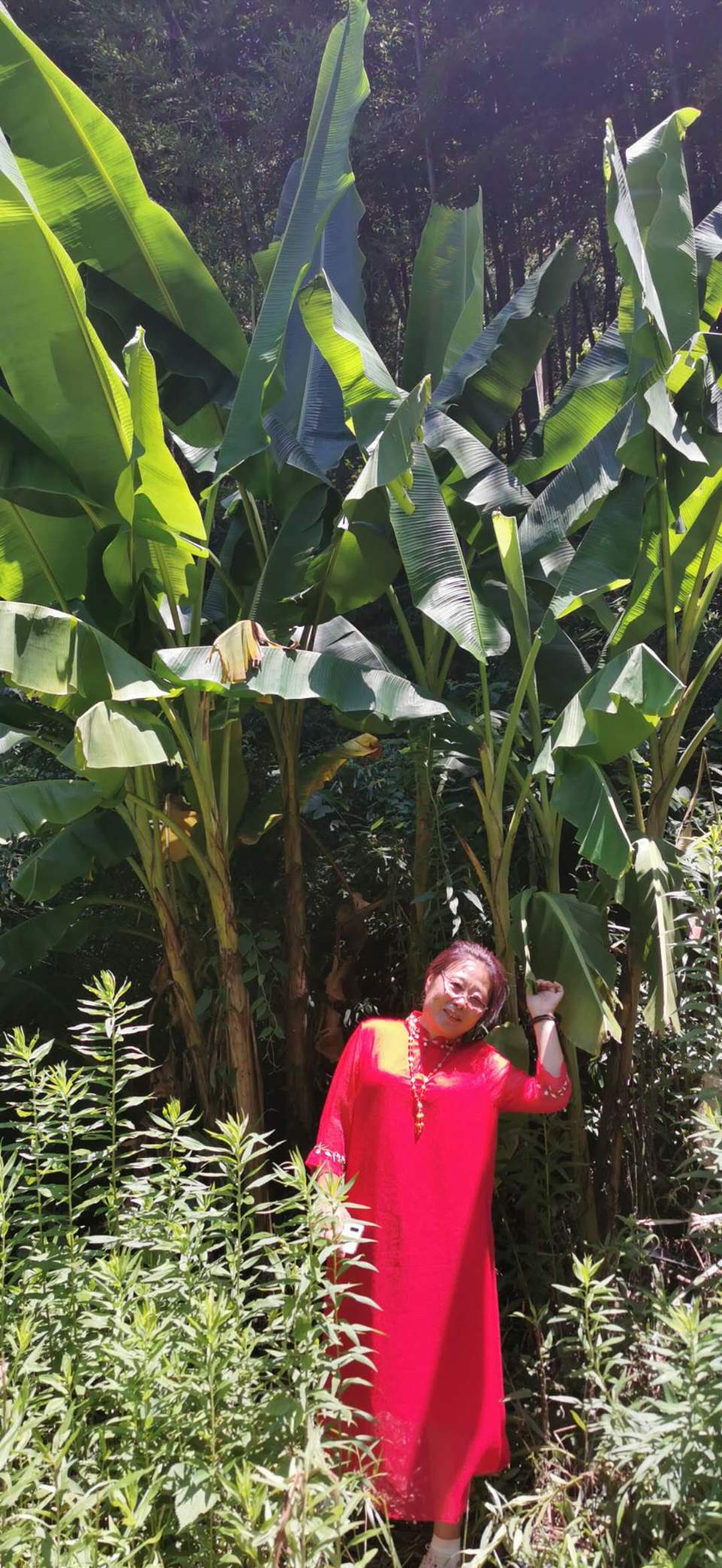 AayC5OAHg_nEamrHlDBlJ5jw4awKlQnjk92cl8T8es-Jzo8iovbo6Q4tBrUXm6jb