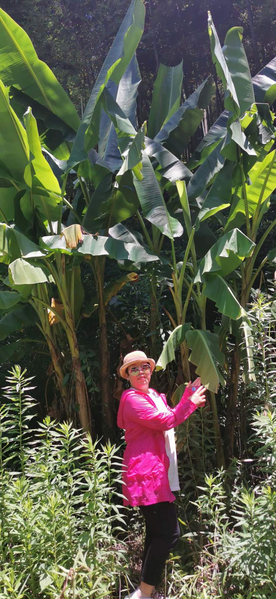 GdJFZXSWnW_0U8JCyxwGaJ-OYuqTa9epvSm8ETimV734p1ARvErgOJ4-qIA2rH89