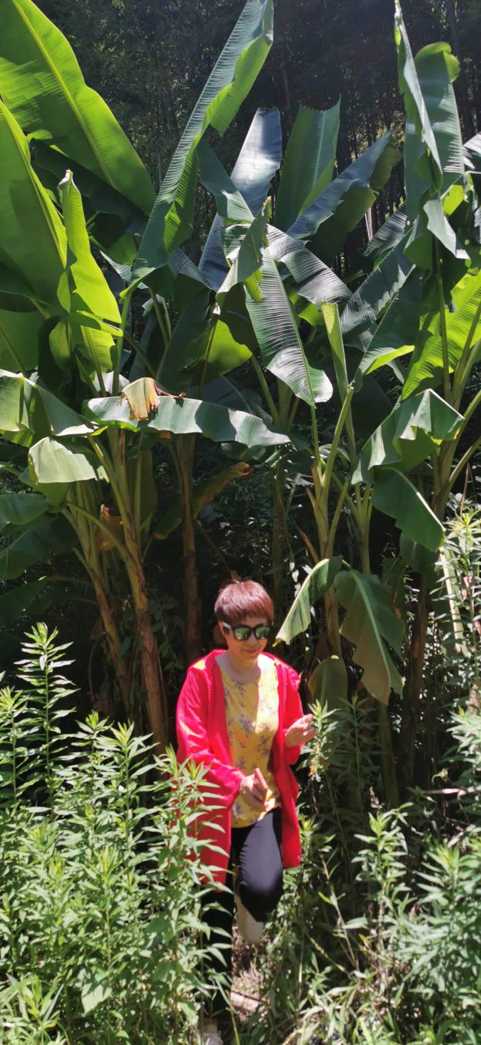 cUTbZsWcU1KCw9JNLv7SwvlQzqDUSEfhWuWK2J2sNXAJvRVNR4P4Hcxz3ZveSTup