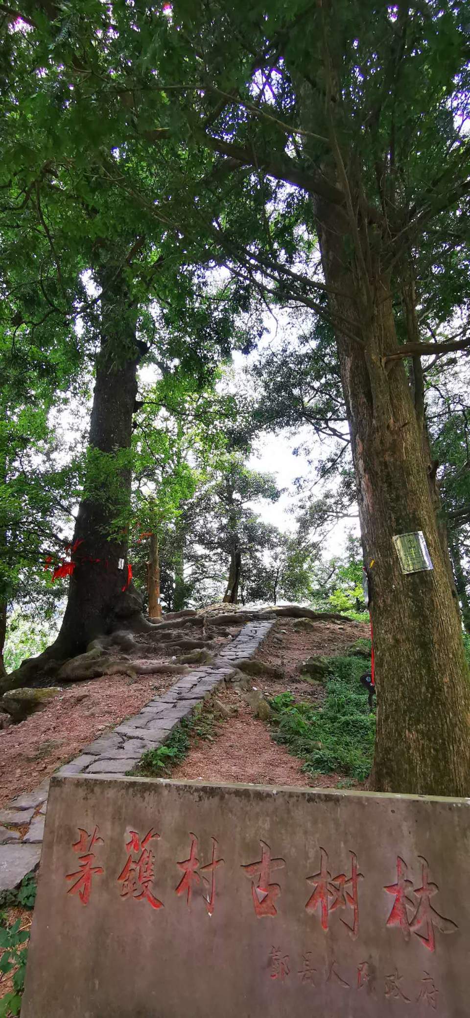 WgwLD0N7L1iZ6DLmFrG4OVFbQLvdaNDHaNt2UiAuXMTdlSyG5ZNvcTT_eQmvELZA