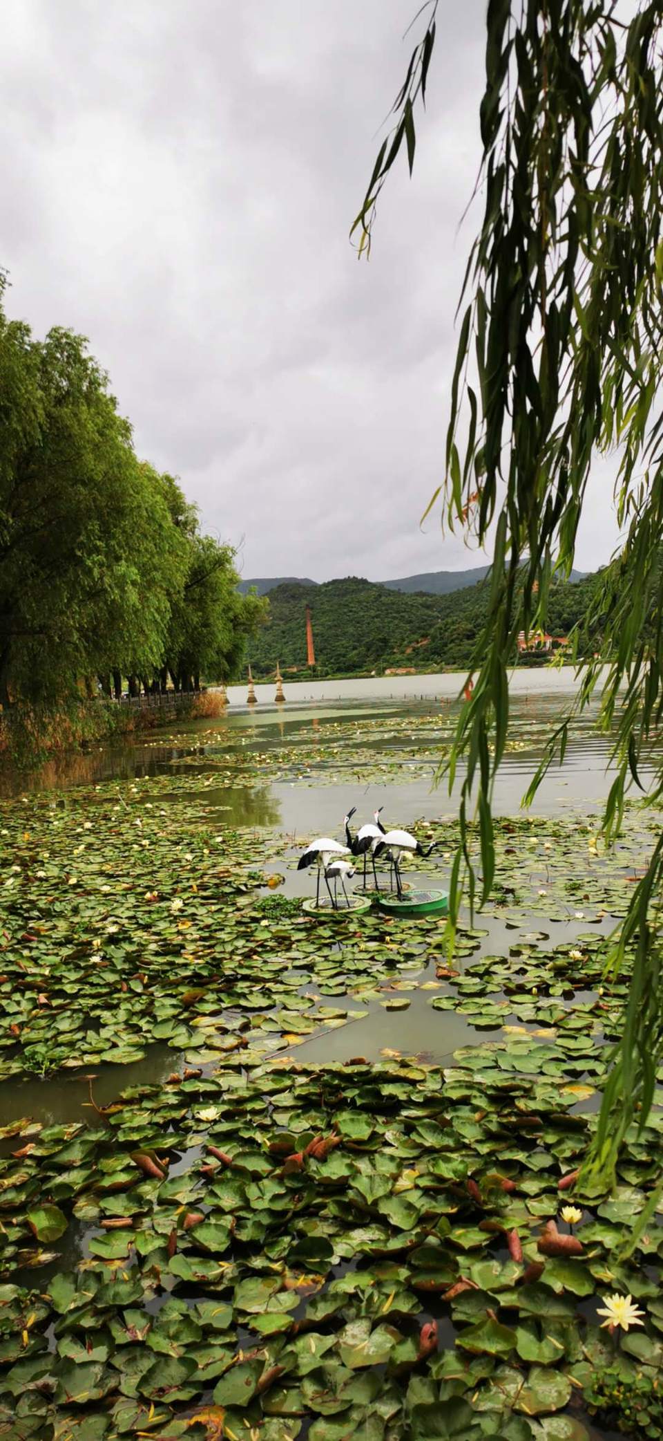 r6mrHvHK4Zzb5Jb7D7Ipou3cOeDAjEdaWycrW_A87Ovq6XpF207GGa6m-3pt_BbD