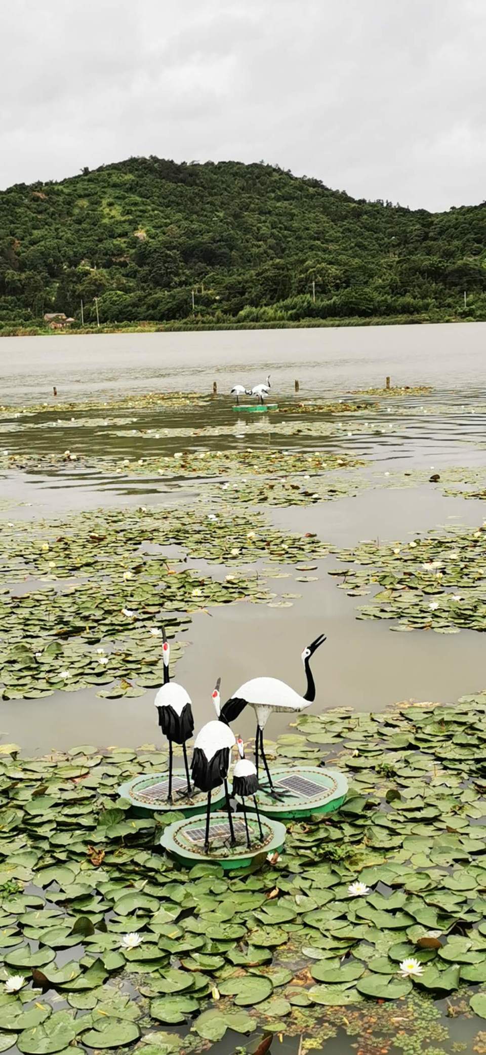 i4odPxqK_61JJyhFPvskDRNhUjD1ilBryrE56p3s3qRTRxmqHW_t_LigYXdX94m-