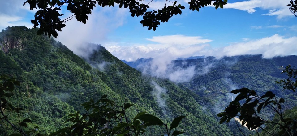 xQJ6xMAma01XrgzhL6vVjW0RZmyQF8D2RljapQQvaQ5fC8ue-j8LQod8NiVwLHEO