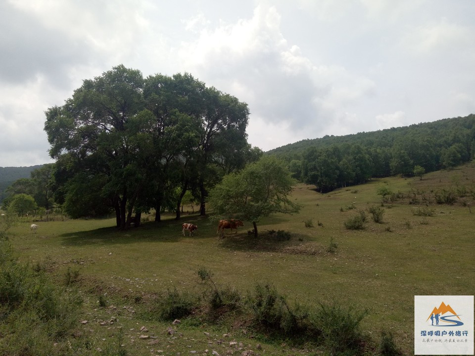 0-7pbaU6Uwbe6V91BTgUpDn5VWc3SED6i_jCIDrDhA0gWCoOiRG4mH8FHOIe1tnz