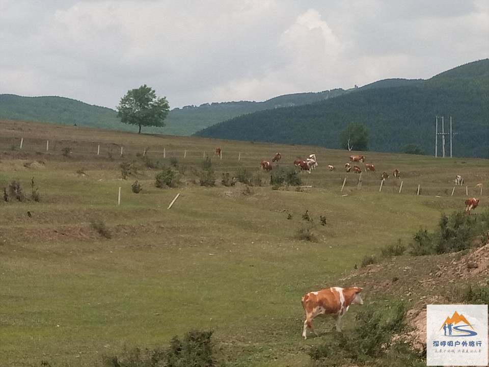 OH2__TQxjE2inNbYUZXS3_iyrnJ01laN1SzCFCuV8Y1kfOpH5J6nsCROQiwF9WAr