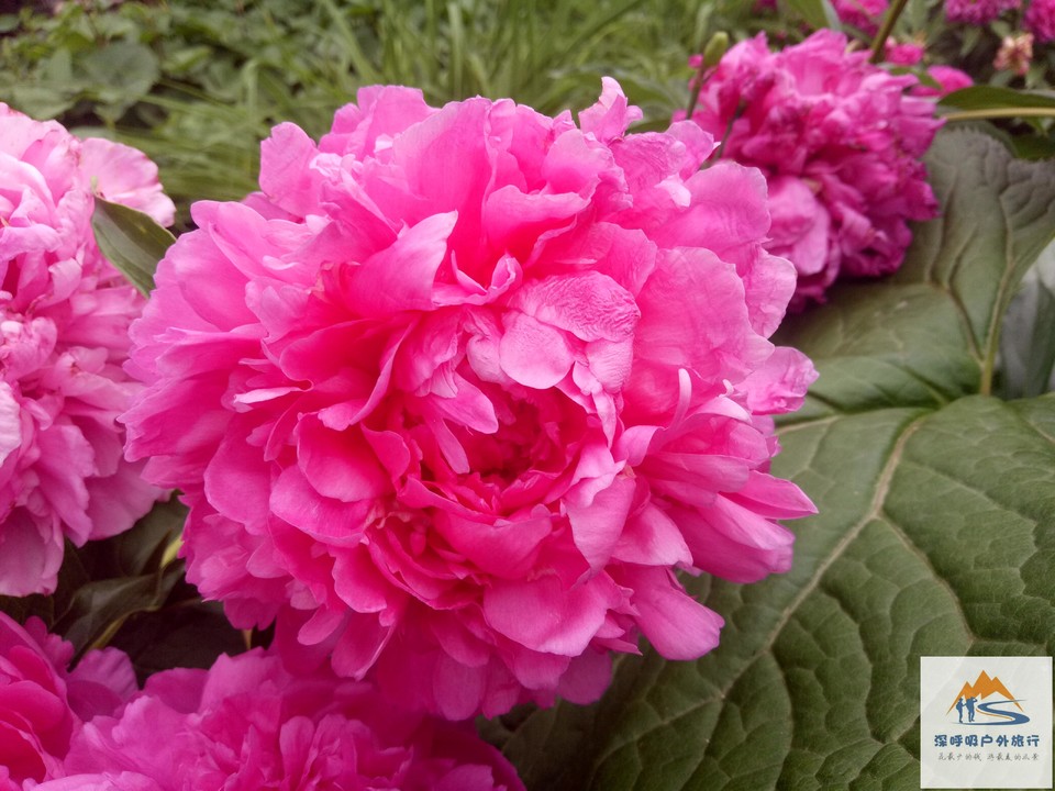 VSw3bIBlm0qH5ycUIqiTYt-O34YUwvvVLchjTecPKbfMdboYxLJzVZGqsc23AHPZ