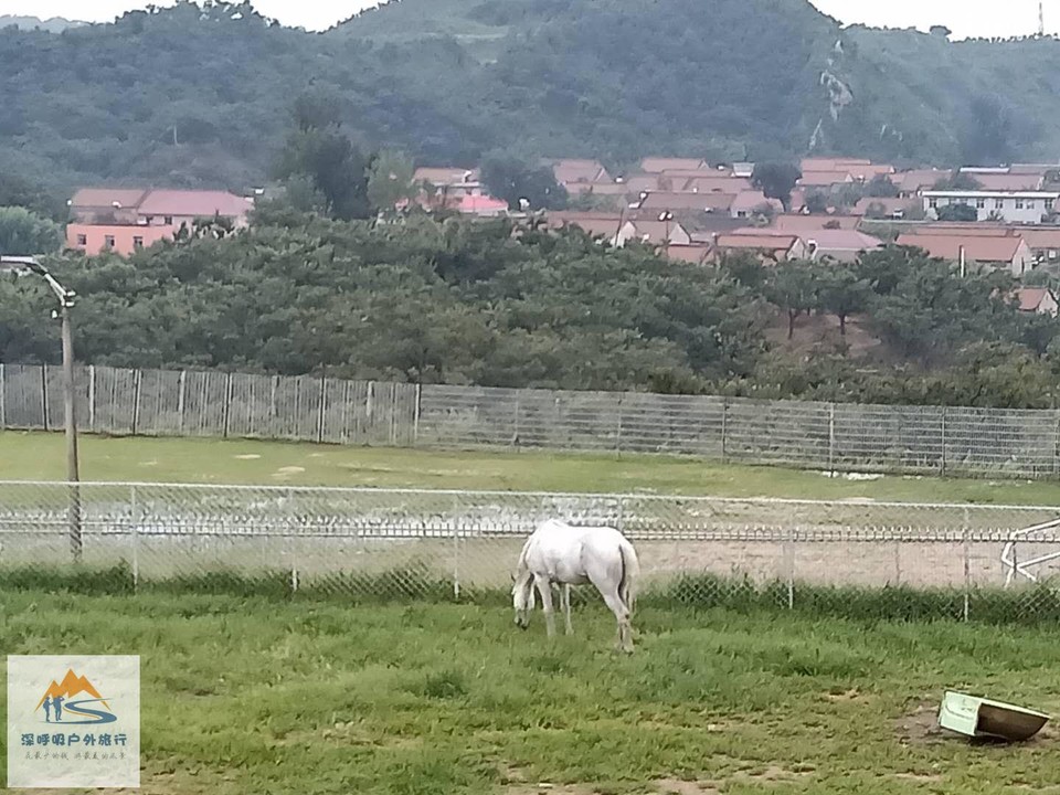 gidRk_52wNbRrPf5m7GOiAzfbzN6_aSG7j86Xx-wweqeIxIPUJe6Fh76rb_318om