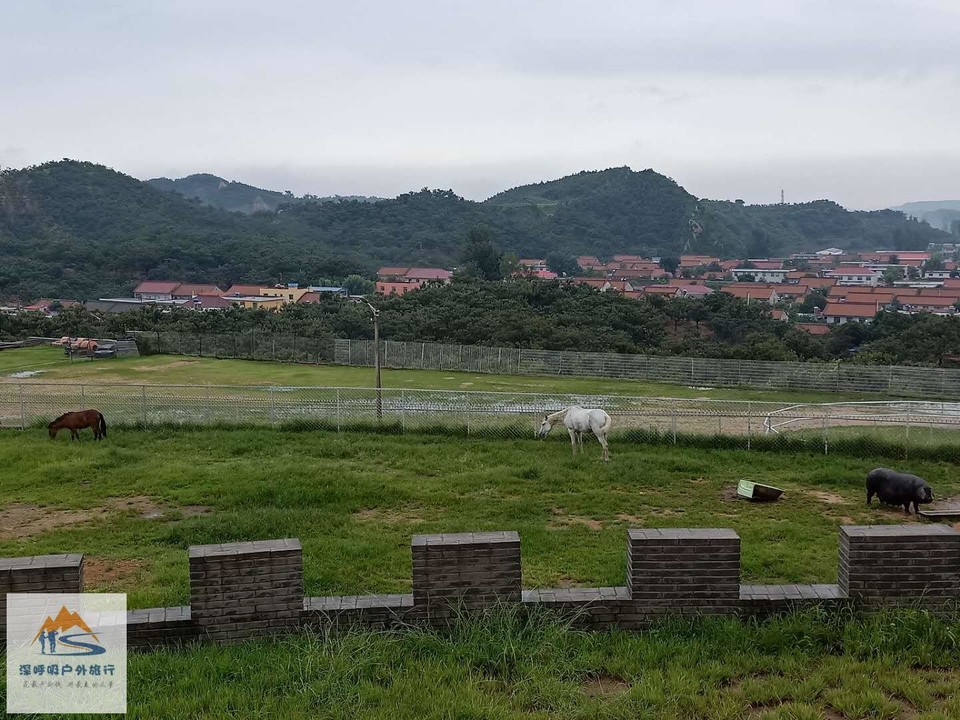 odks2MJnxE2On0n8d-4CD_V0yZA1YWTmkvzCLjmXXCAbUxM3Ys0w6fqvnLQJekt4