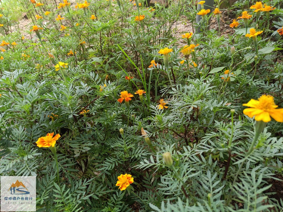 WBLAgWnlPf-jm0mLlnhEc9bGydskRnhtYan7xaiDw1Exqn4LxdLwpFxENKixymXd