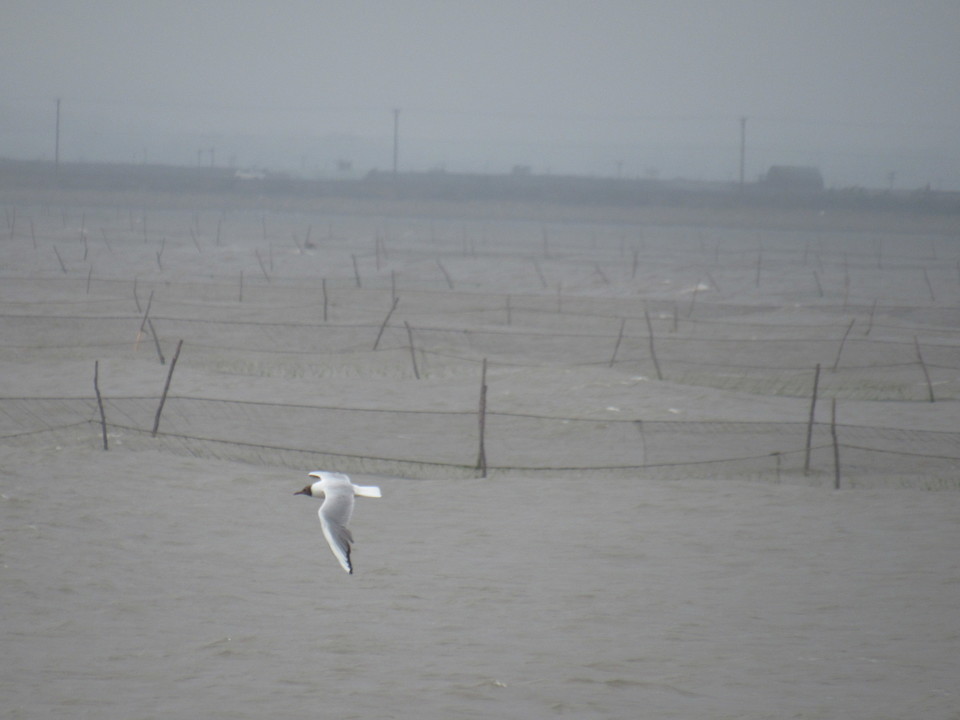 OWovVSFv5Z4vwqqRoqZRTbHoaMCOTSuNoESv7JL566IJhBCS116qWSbfEqVQ8Yf_