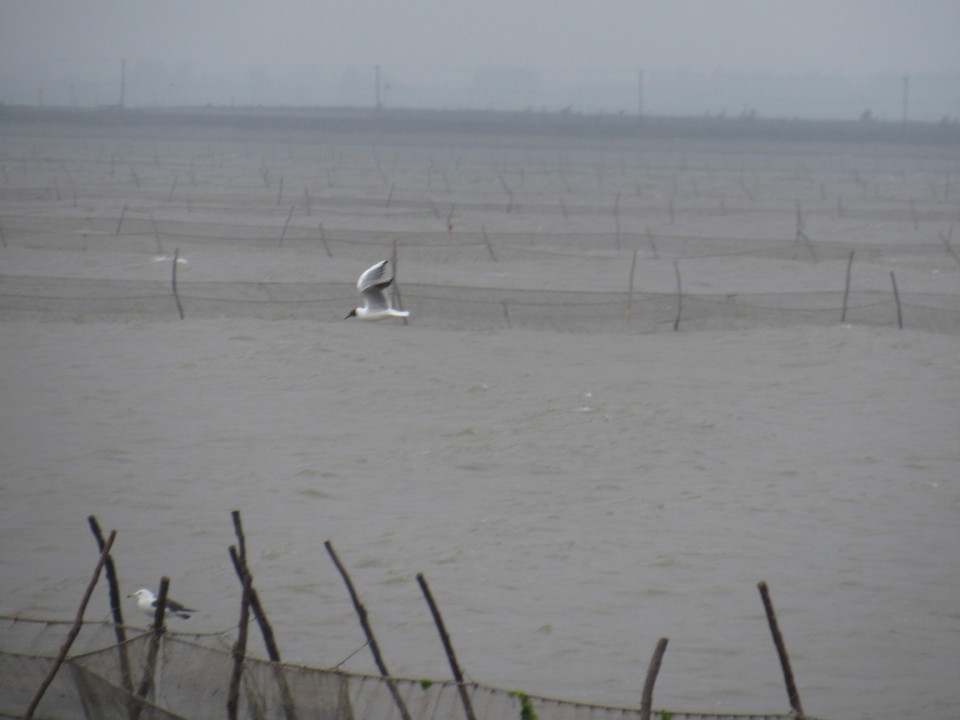 EnszxBVt4k0lTI0T0YEsr8ybtdvSGmBgzT8IzP8aAsSg_VEzcBn7J16uwoBTnVyn