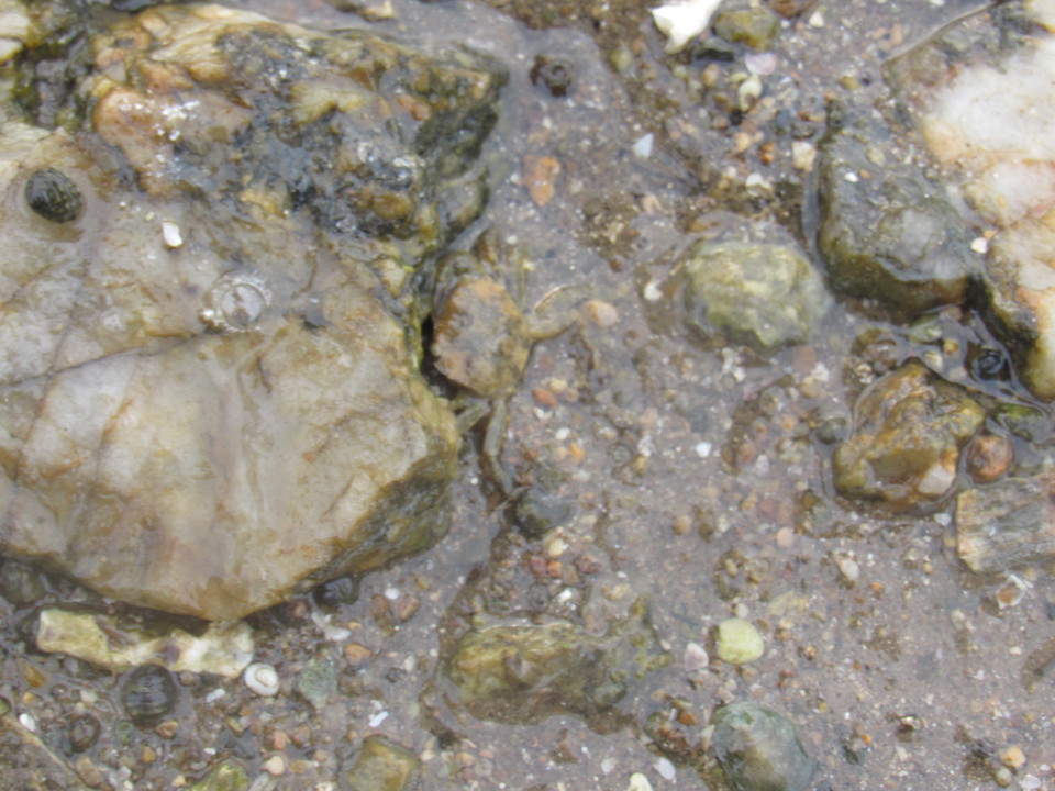 eVsdvYp3jDnDaZYv-pi8NbPnw9xxoLt5sCTA6sBORayZKmQAz_kU_ixU46QcNu8B