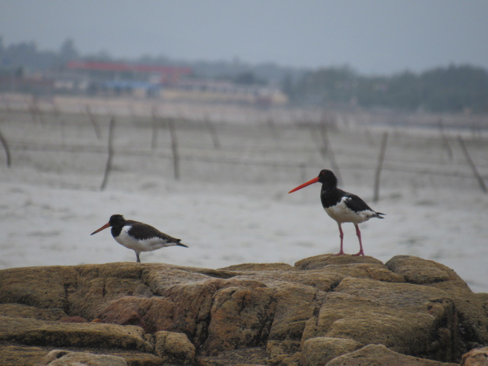 GHc5C_N94RBSp1LUfVFcXNvH1F4LpNfyoIGL1bon1qgfuEY7y4R2lRicd7chSGrB