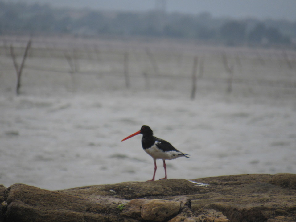 A0ysjeZTeAanxLYwqXplcPXTPDCib4aI3Ks7bQ1REadSkCDHX5OMY3vTWsllApbE