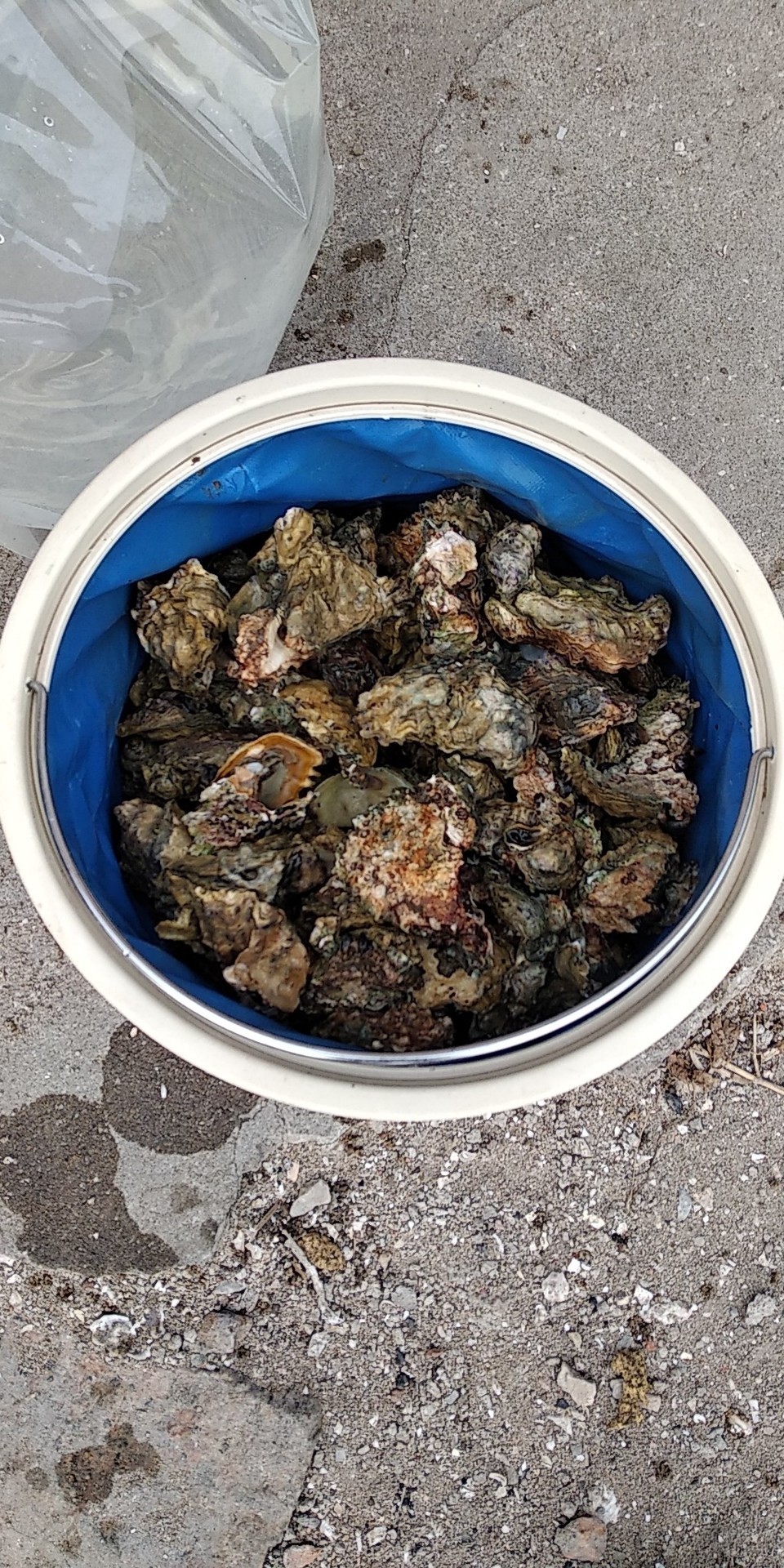 lEQusNpSyt_23U4QOQWyMWAfw9a7oGwO6VKoXDPKlDQ4Wh8LQ9Usz-cvnSEH4kNL