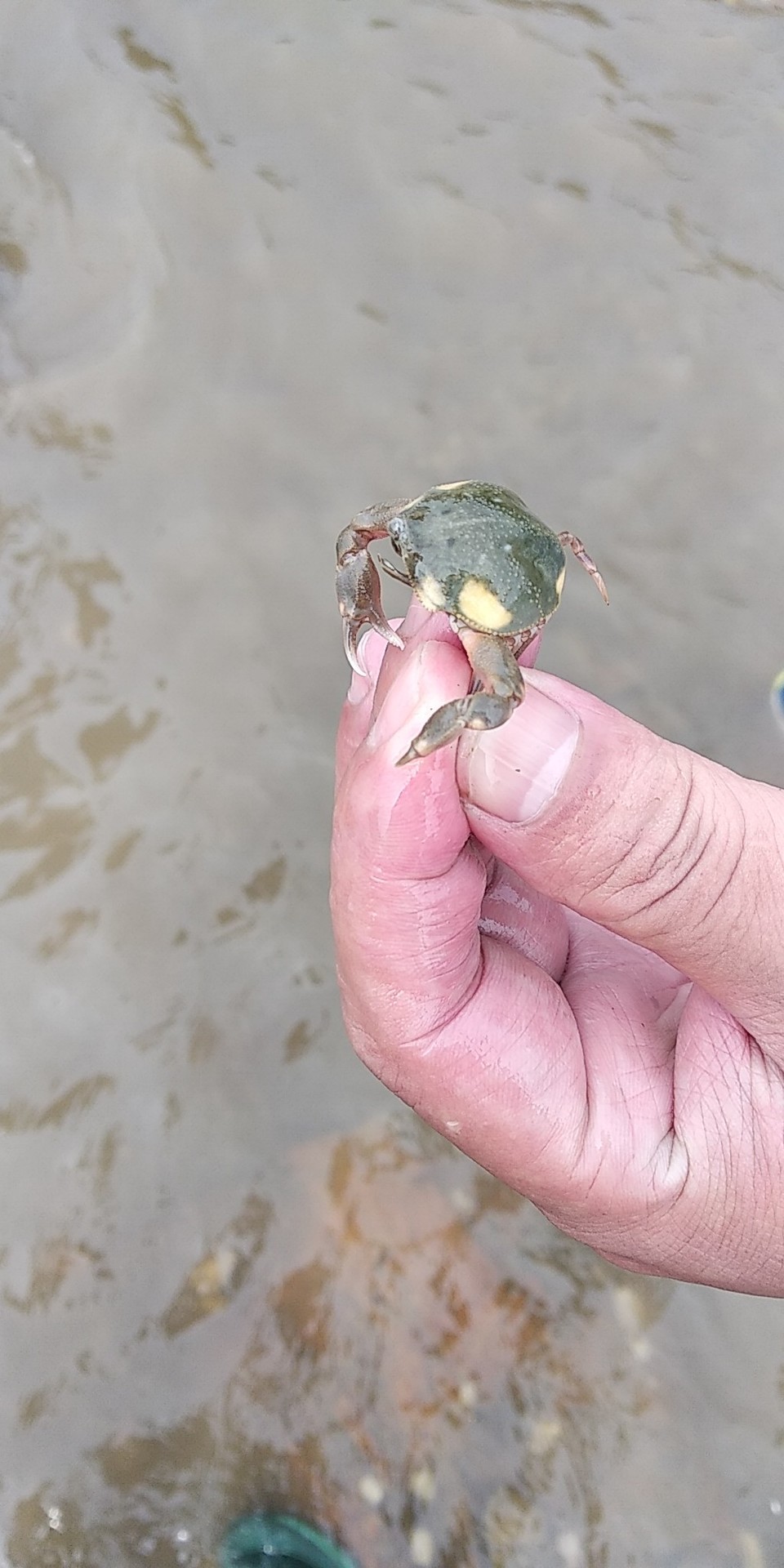 iuZ6WVhSJ2fV8flBXecfFtlxccXeeF8v97OL6ukmwtRwODpPvUQ1PHcoVCtOLtmO