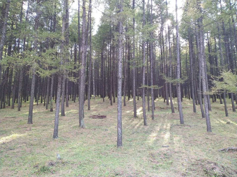 mSi7mPlsTITqFS4d1zdOMRS4d23sg_jERZh2txoktrJnxMVL_-wgUryrmnphM4fD