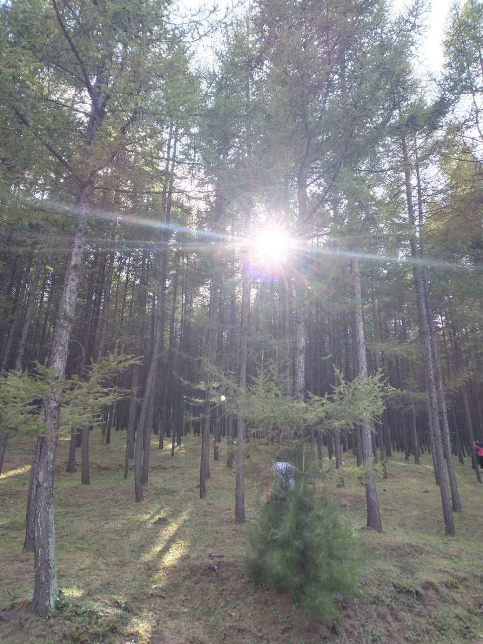 d3ioGBIm-ZPlFdnN_hqJ6APQLNxqv34O4cToyrnSEMs0DzO8gHWR-bZ32Vaezwil