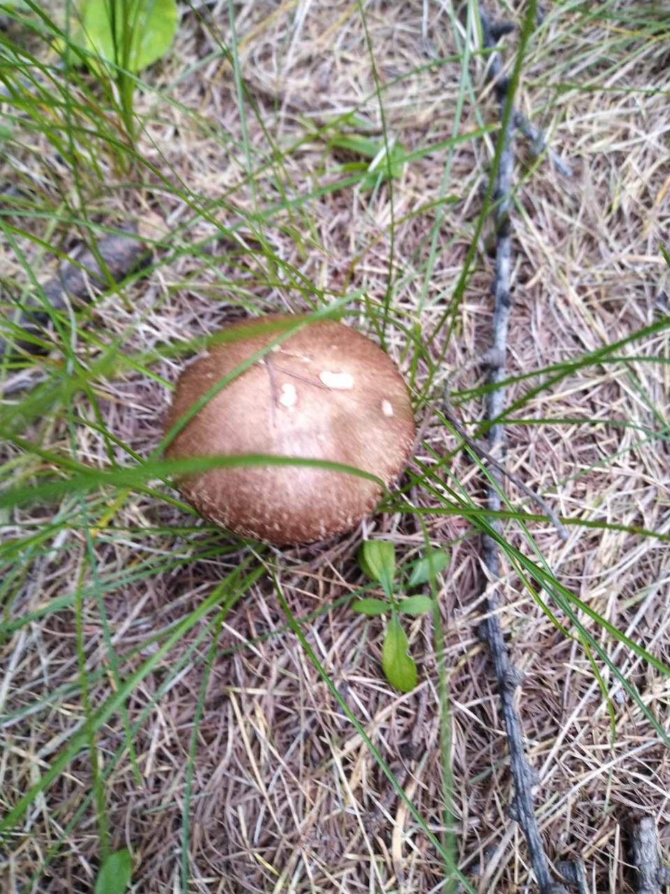 t28rVq7-GYRzxnEfvVRngffP5r85ZSXbdQgRj01BAmQN-HorM6EqaLDE6f7XaZAt