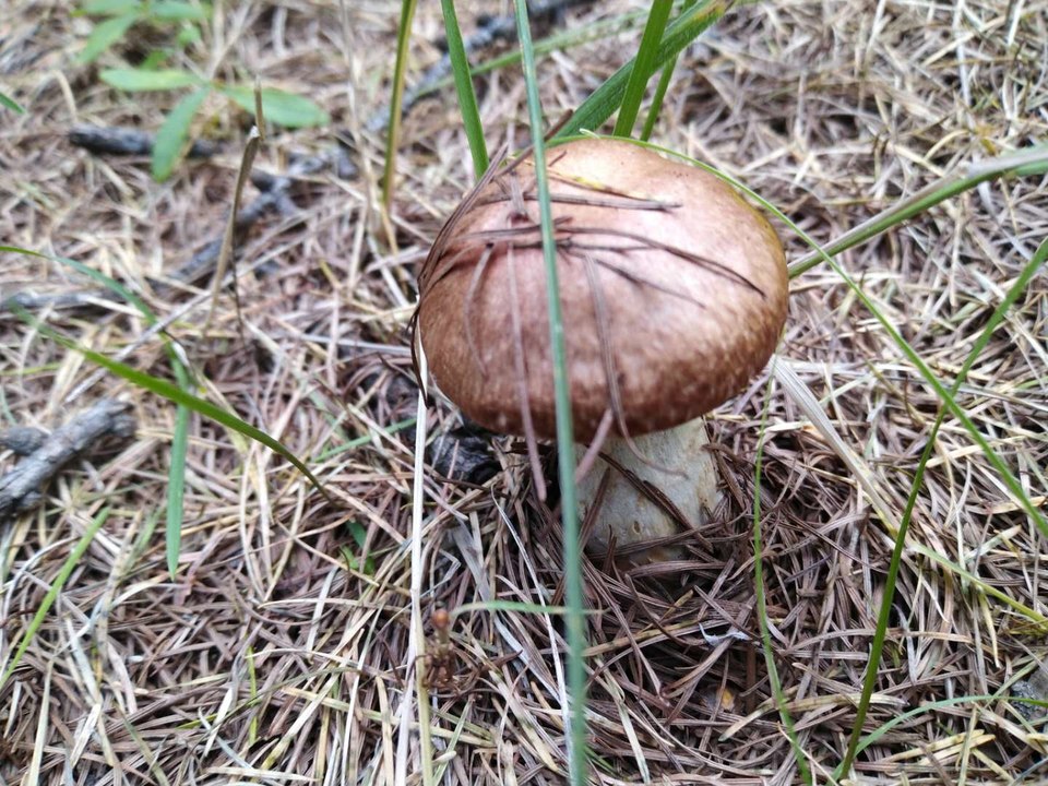 1PPnQ-13n7sRJjbraDSEYQ146xxdZOriXg1FgXhzMbKl6ElBl3RSQFqQOtLs7gcJ