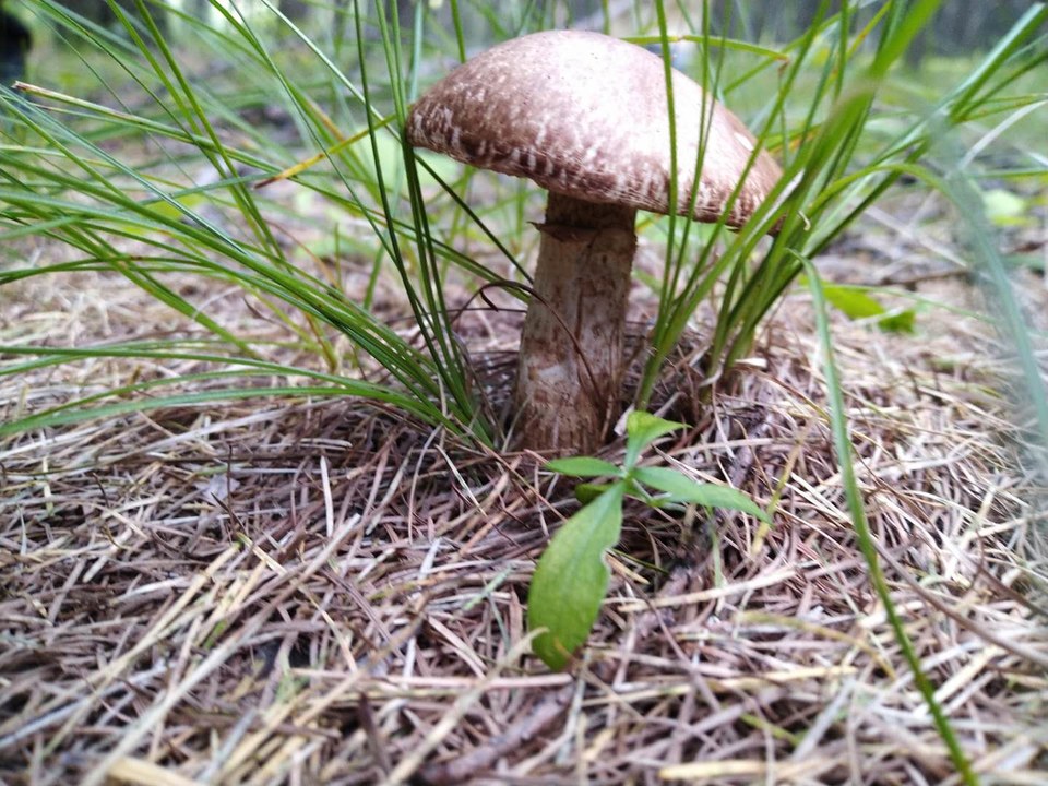 IAnP3yvCrJjIvqKyL61qKC7x5OwdqP_eriNsnL5fiErUyTwlq1LWq5BaCnjHCr6V