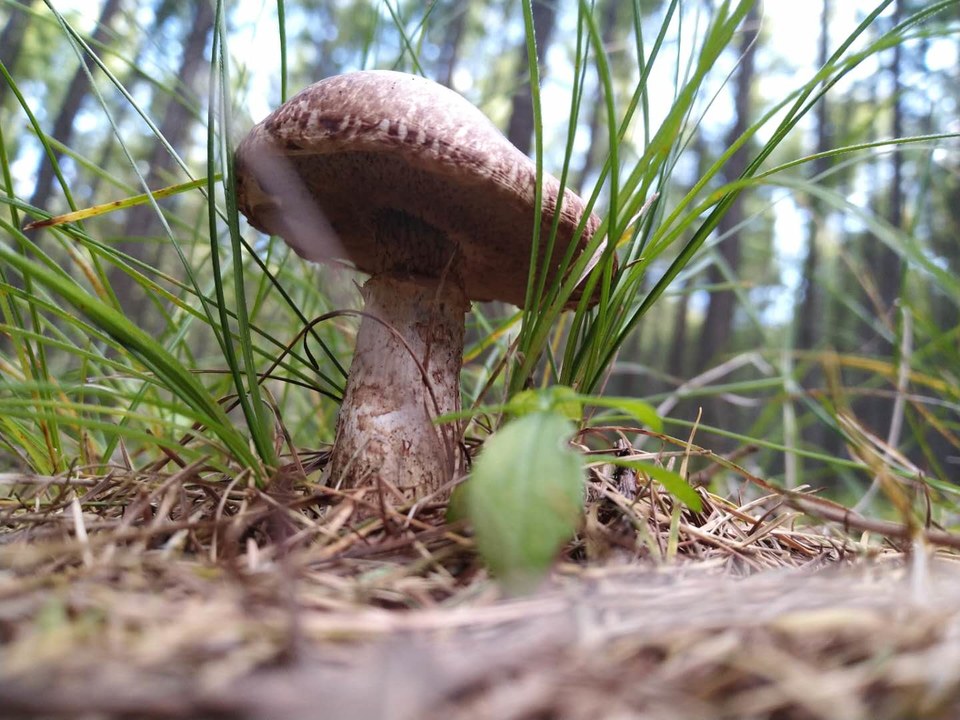 wj8b34WmxvTzx-lgo-2w5bdqtNOB7959__CfIGy-XPYh0z_CpiRiRx60XNJudyA8