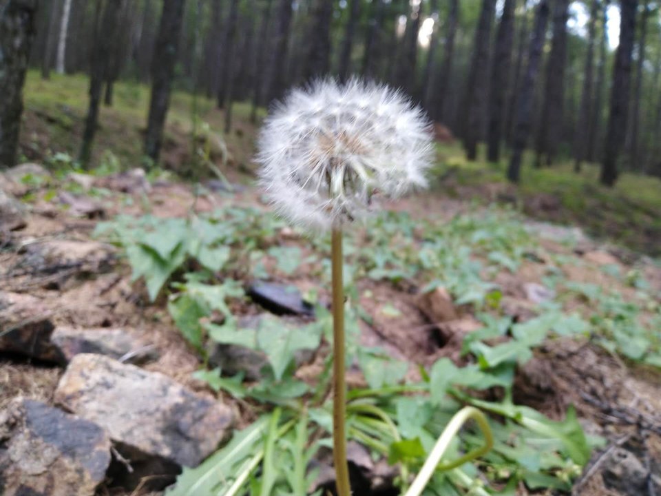 Yb81zW4iScbQdmVo22qtSO1fjQj7n8hGlndlWW9SVQsiL3bkhKhd5m-gJDwmWn0g