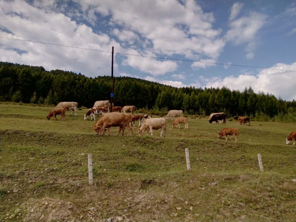 zkItjbYuDtc11KQweUXUZVzIbu-nBDGEDwBIX-PRw-AiwRNyY7KgTDO1_L3tEwzy