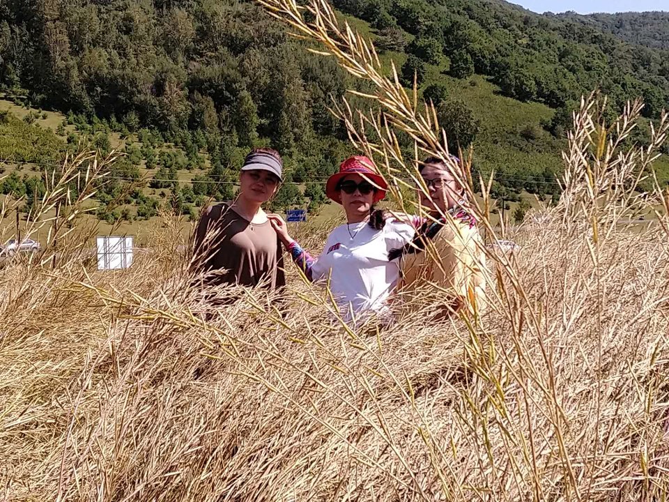 OjrceNb0uujJ_brWeQO05rrWUHklI0GwuNu_wMyXFBRxxIi5_0y-Y25KFpHrNEAI